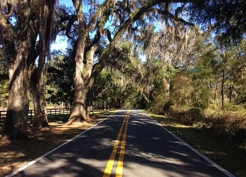 Canopy Roads Master Plan Goal Three